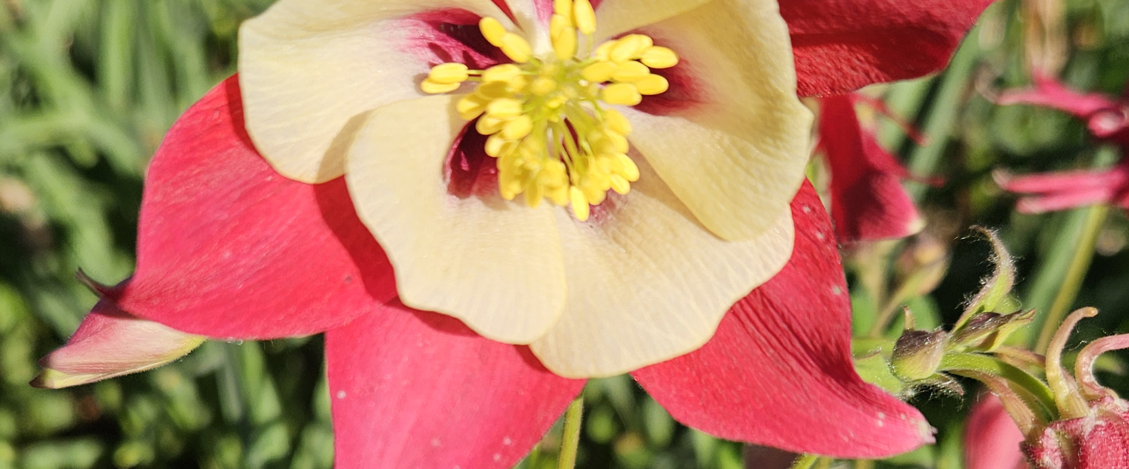 challenge background