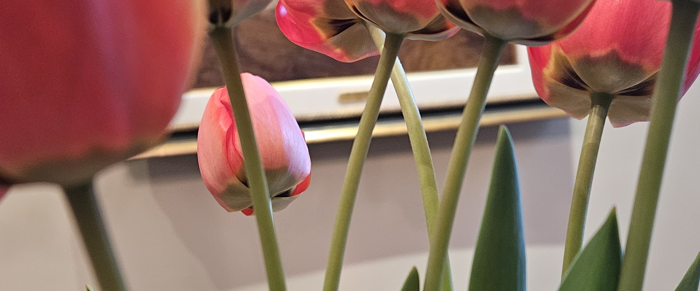 challenge background