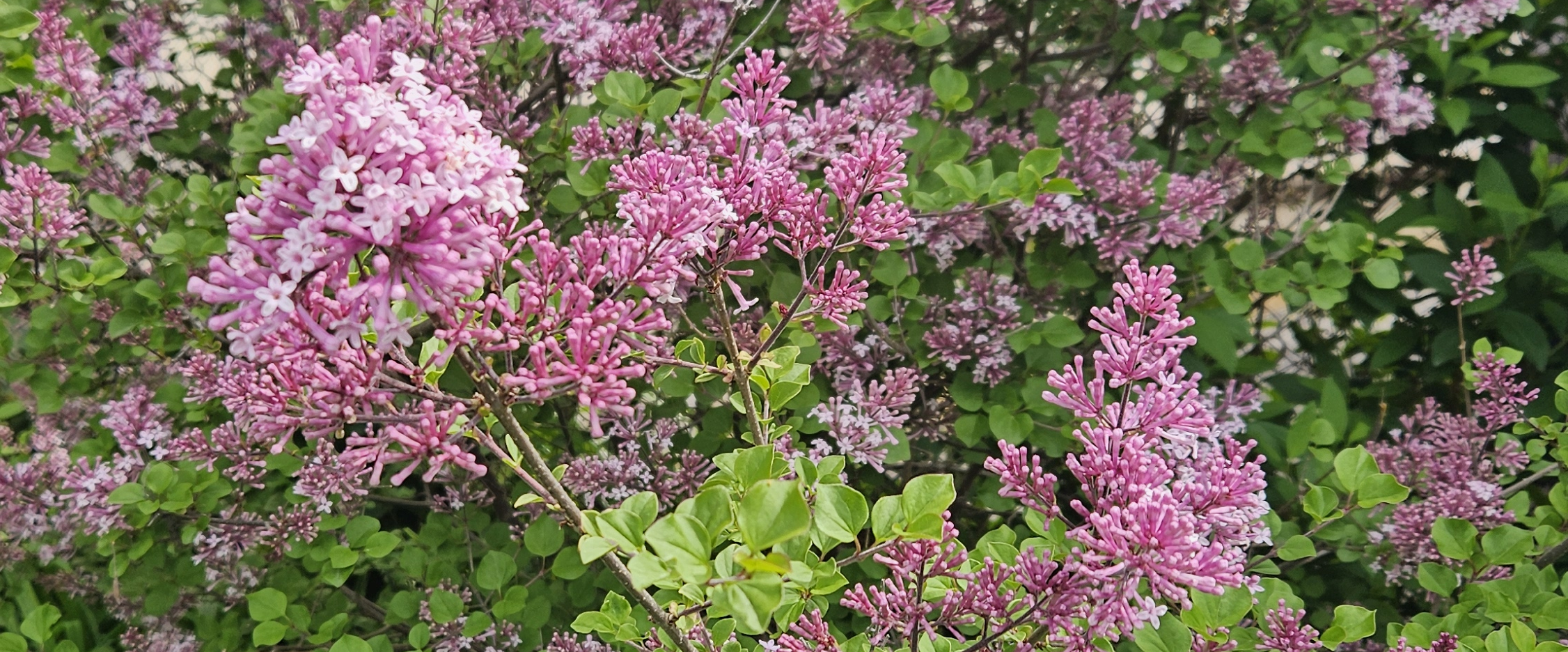 challenge background