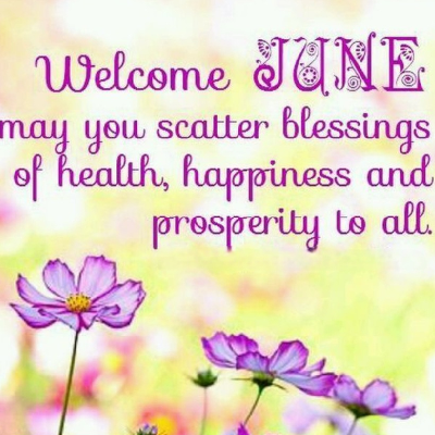 🎊JUNE FESTIVAL🎊 icon