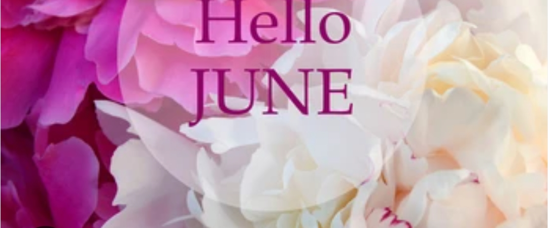 🎊JUNE FESTIVAL🎊 logo