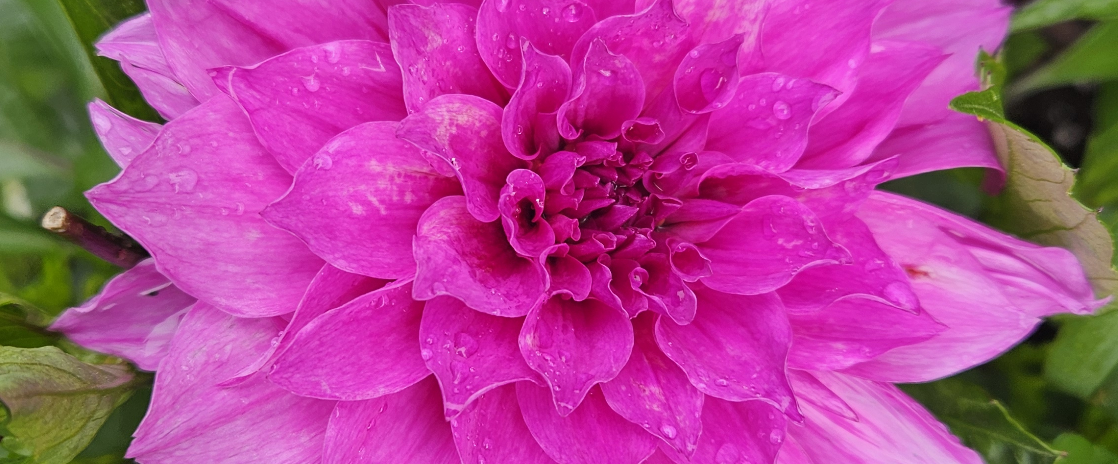 challenge background