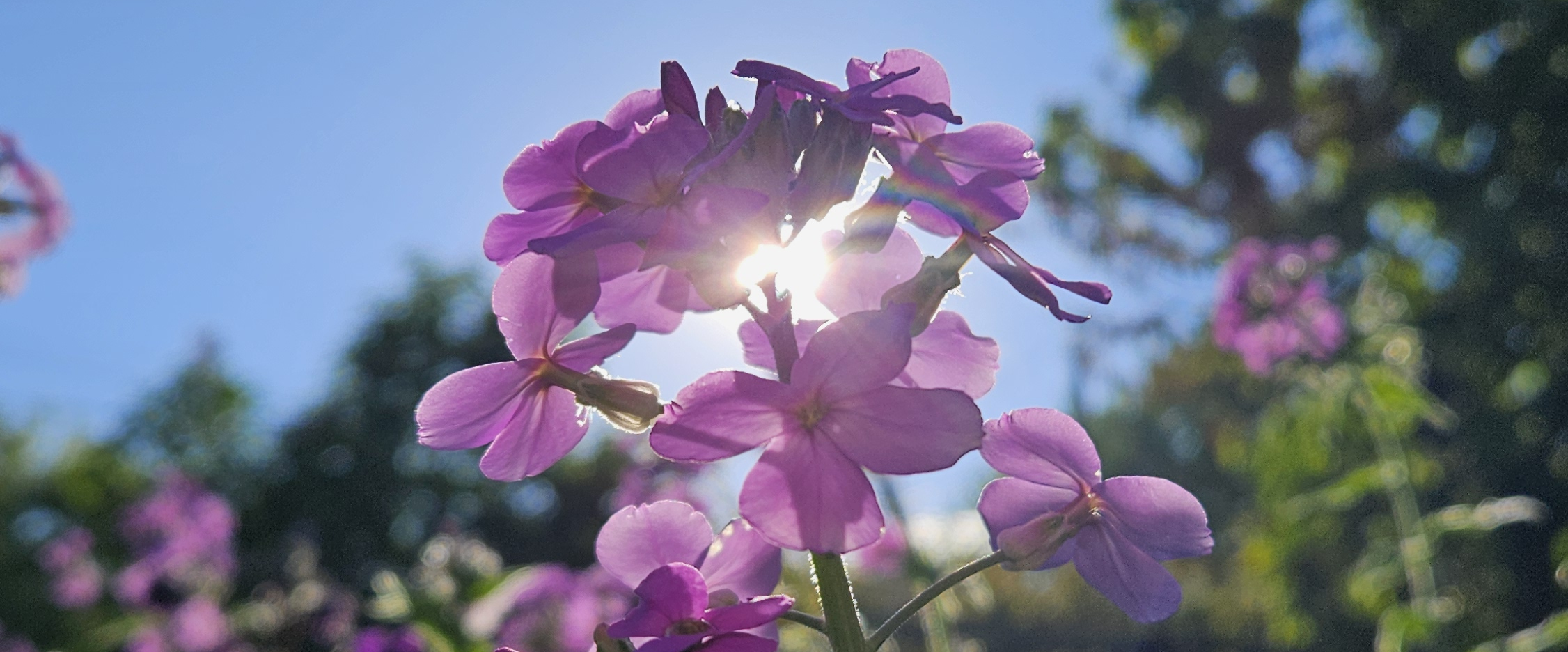 challenge background