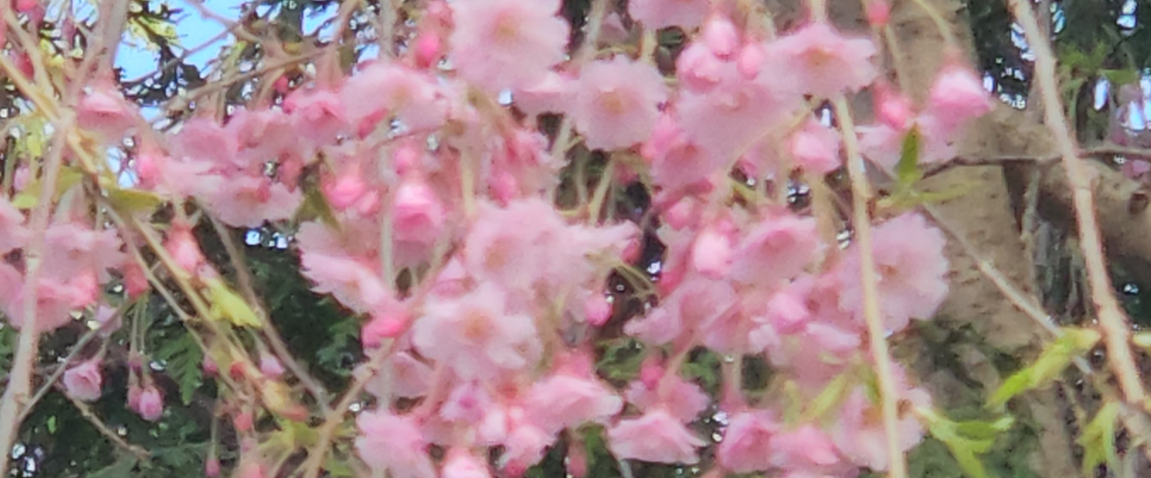 challenge background