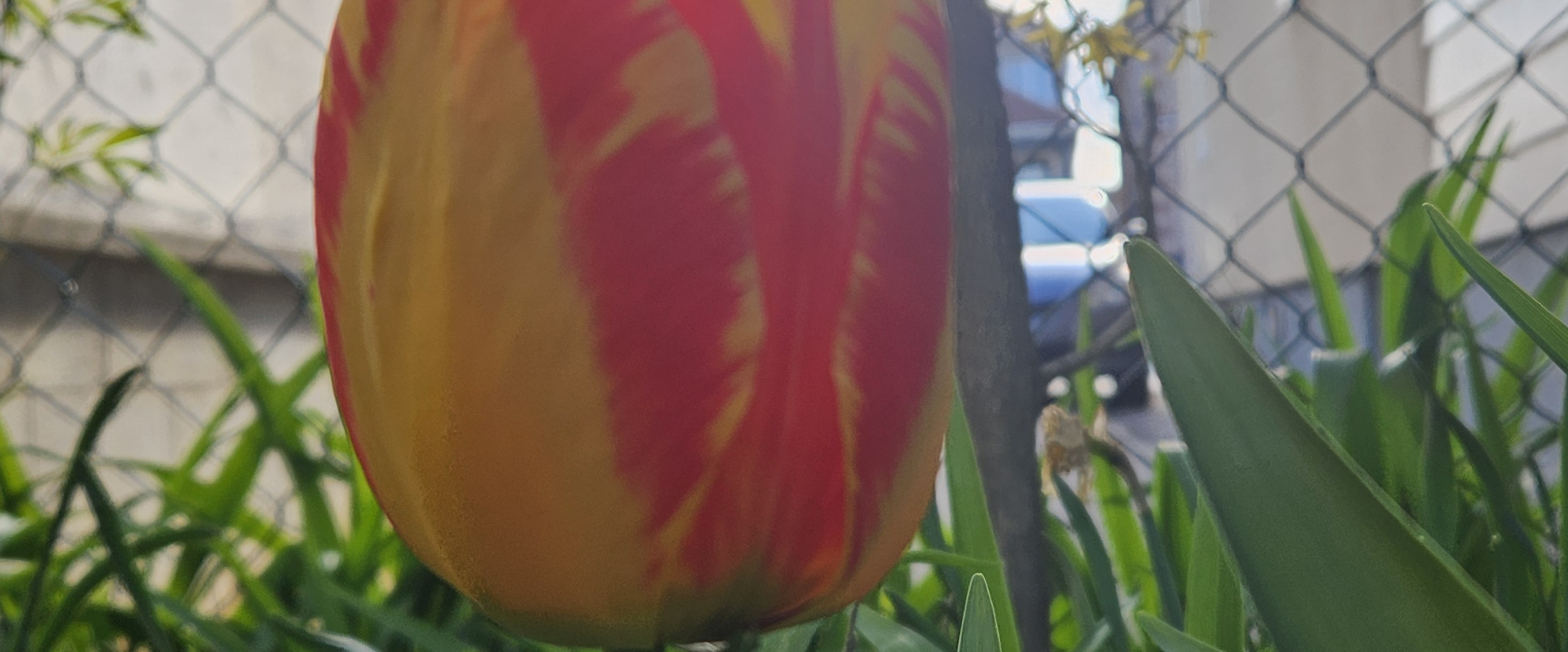 challenge background