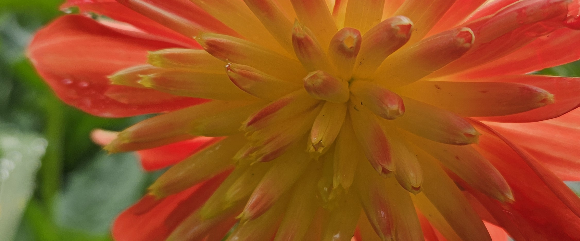 challenge background