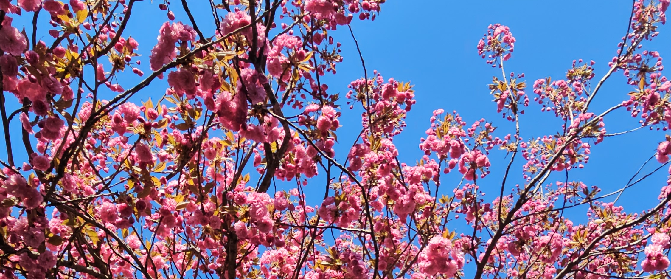 challenge background