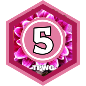 May 2025 5km Distance - BRAVE CLUB icon