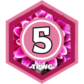 May 2025 3000 Steps - BEGINNERS CLUB icon