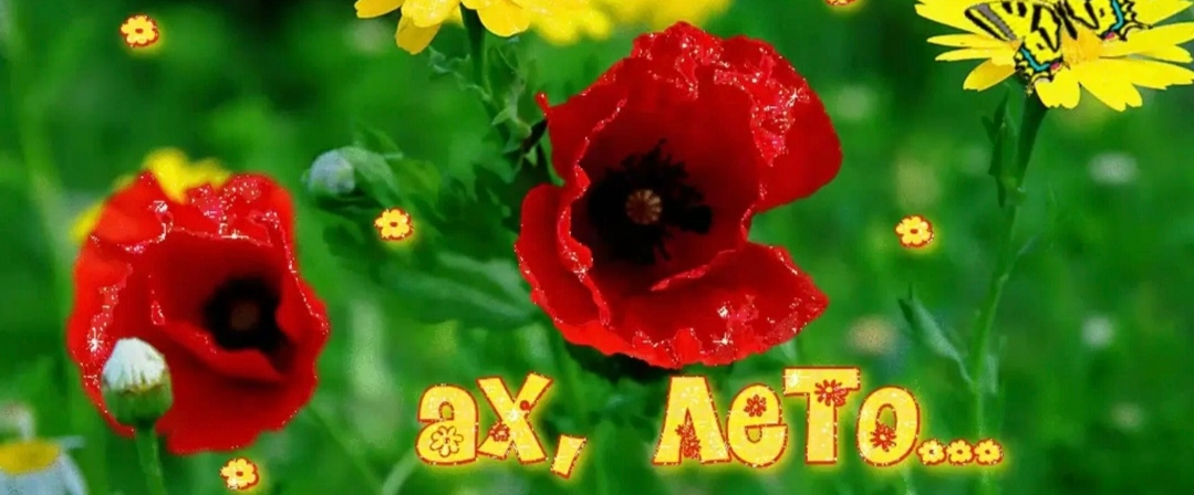 ЛЕТО logo