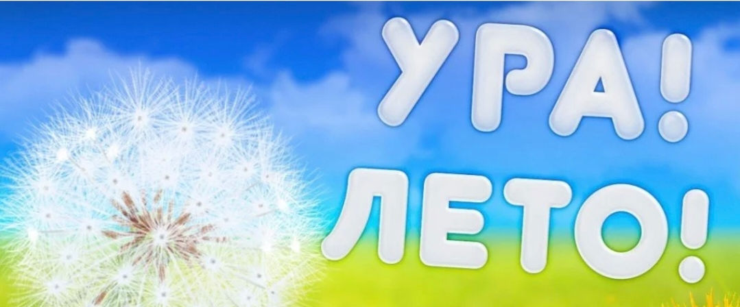Наибольшая активность -лето logo