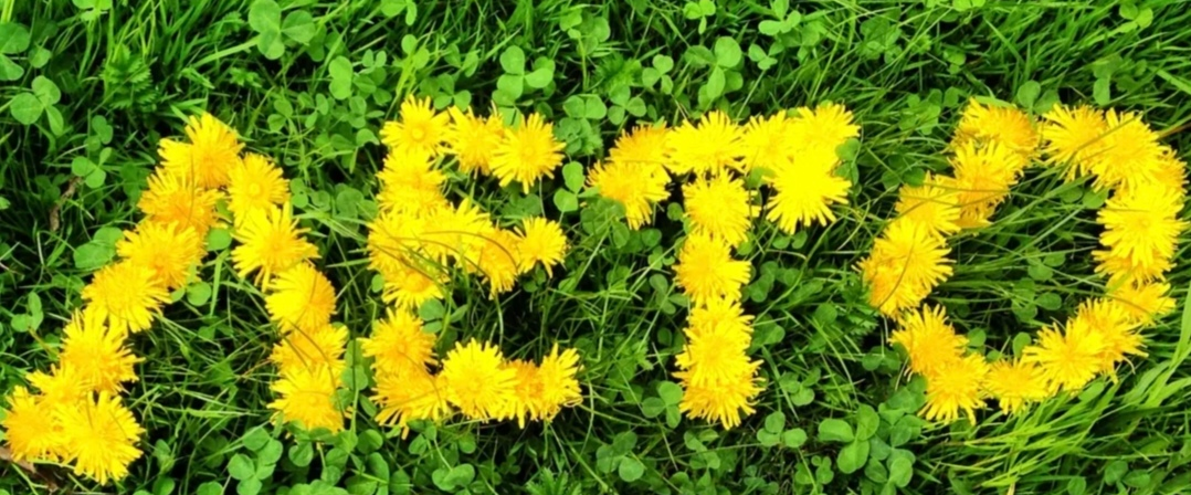 ЛЕТНИЙ МАРАФОН logo