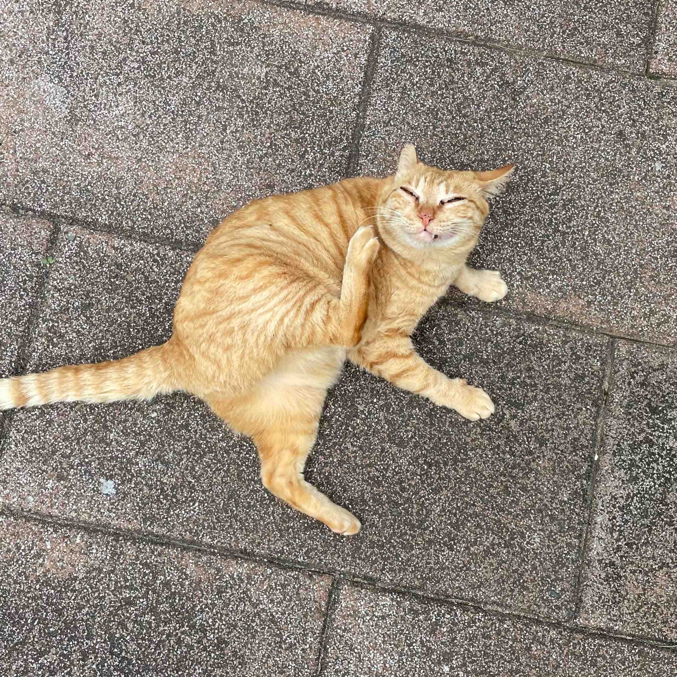 健康一起來 logo