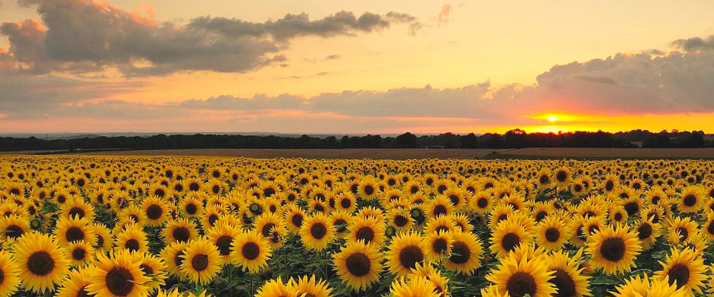 challenge background