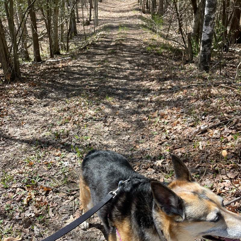 Motivated Mamas logo