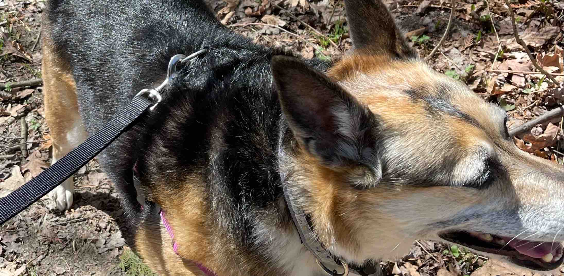 challenge background