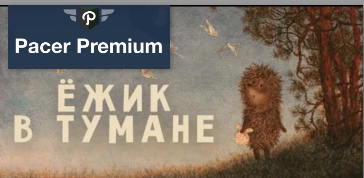 👣БОЛЬШЕ НОЖЕК СОБЕРИ • VIP программу ЗАБЕРИ🦔 logo