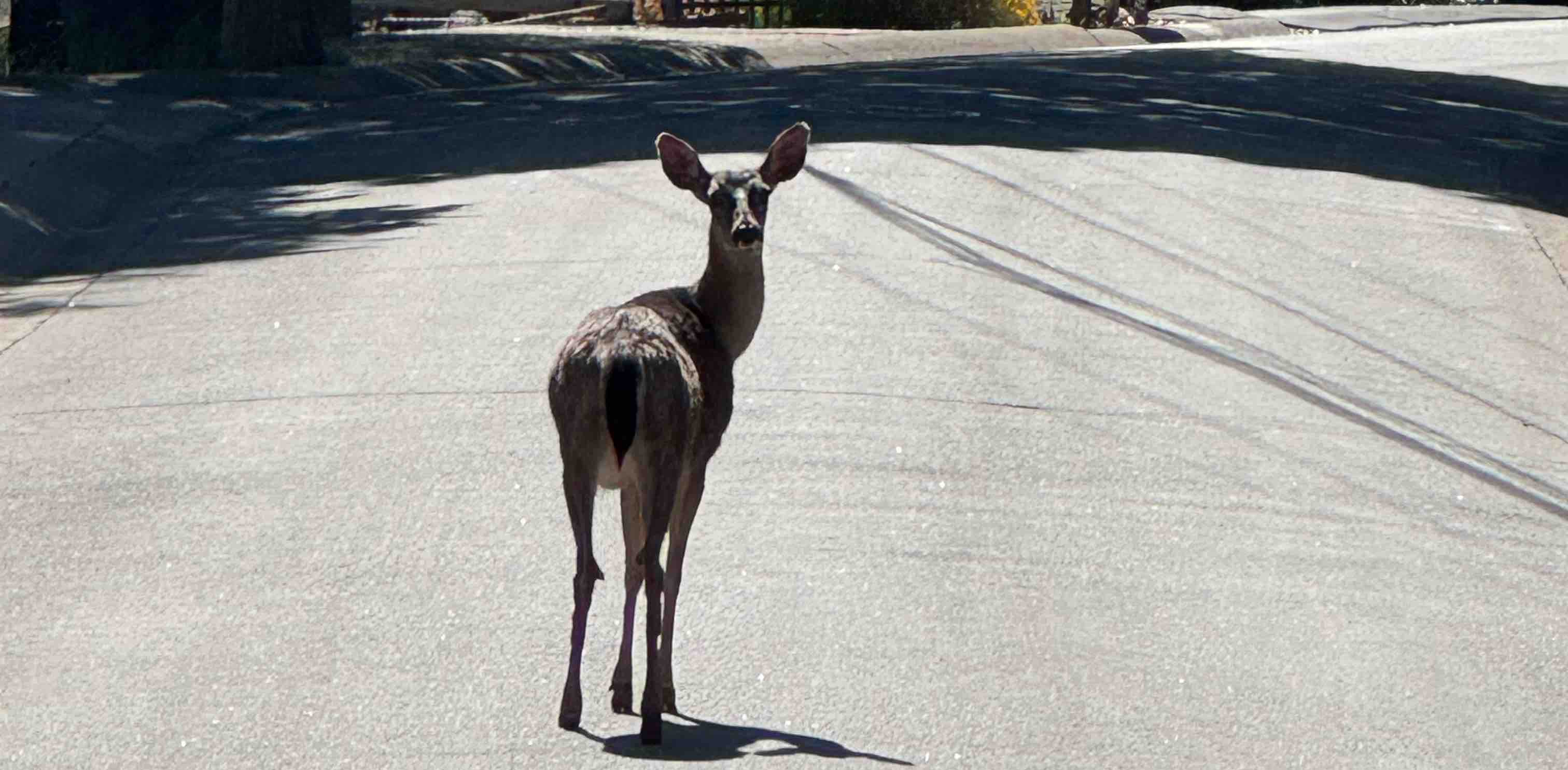 challenge background