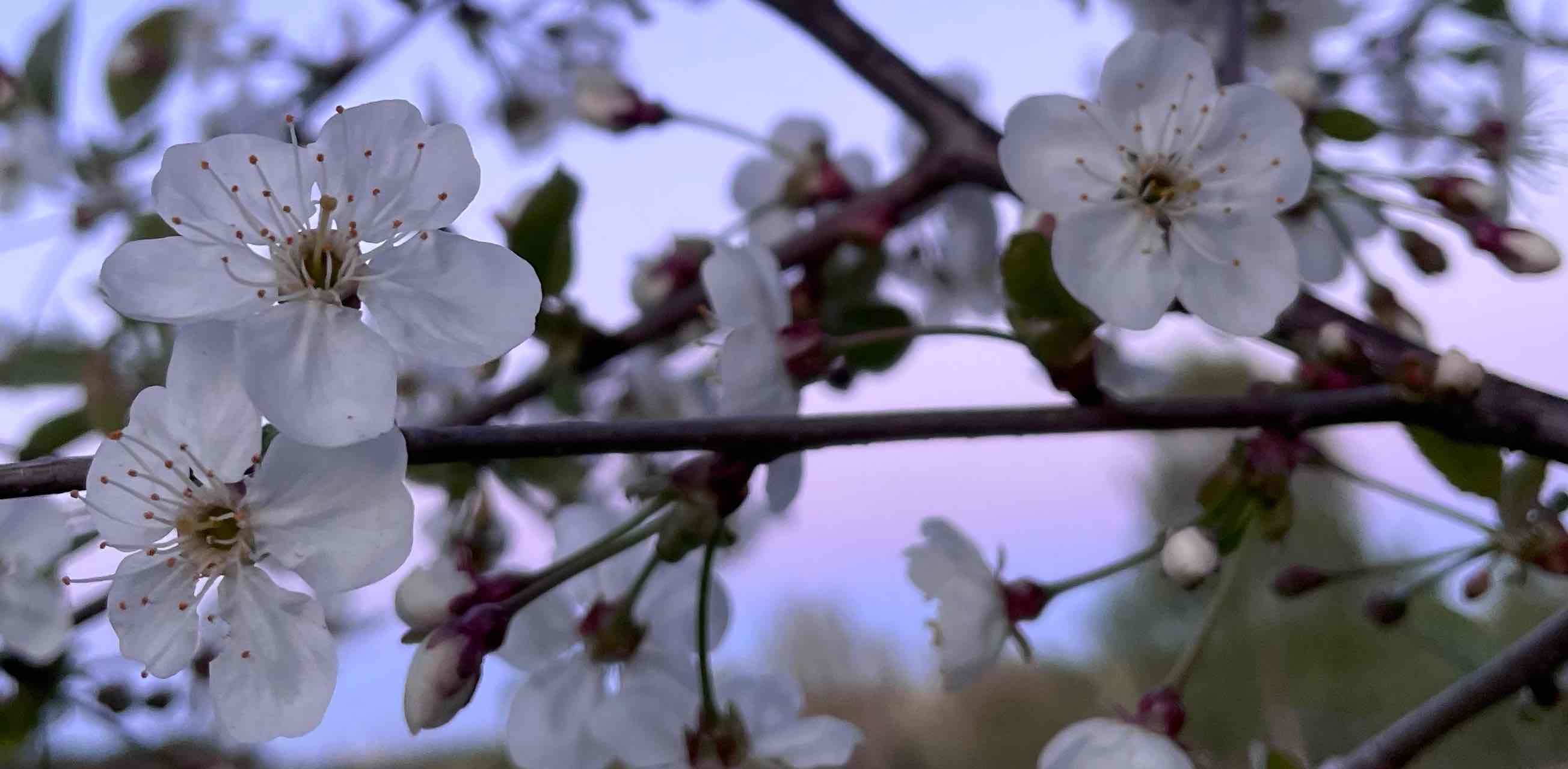 challenge background