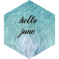 June 5km GPS Race icon