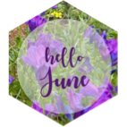 June 5 km Step Estimate Daily Points icon