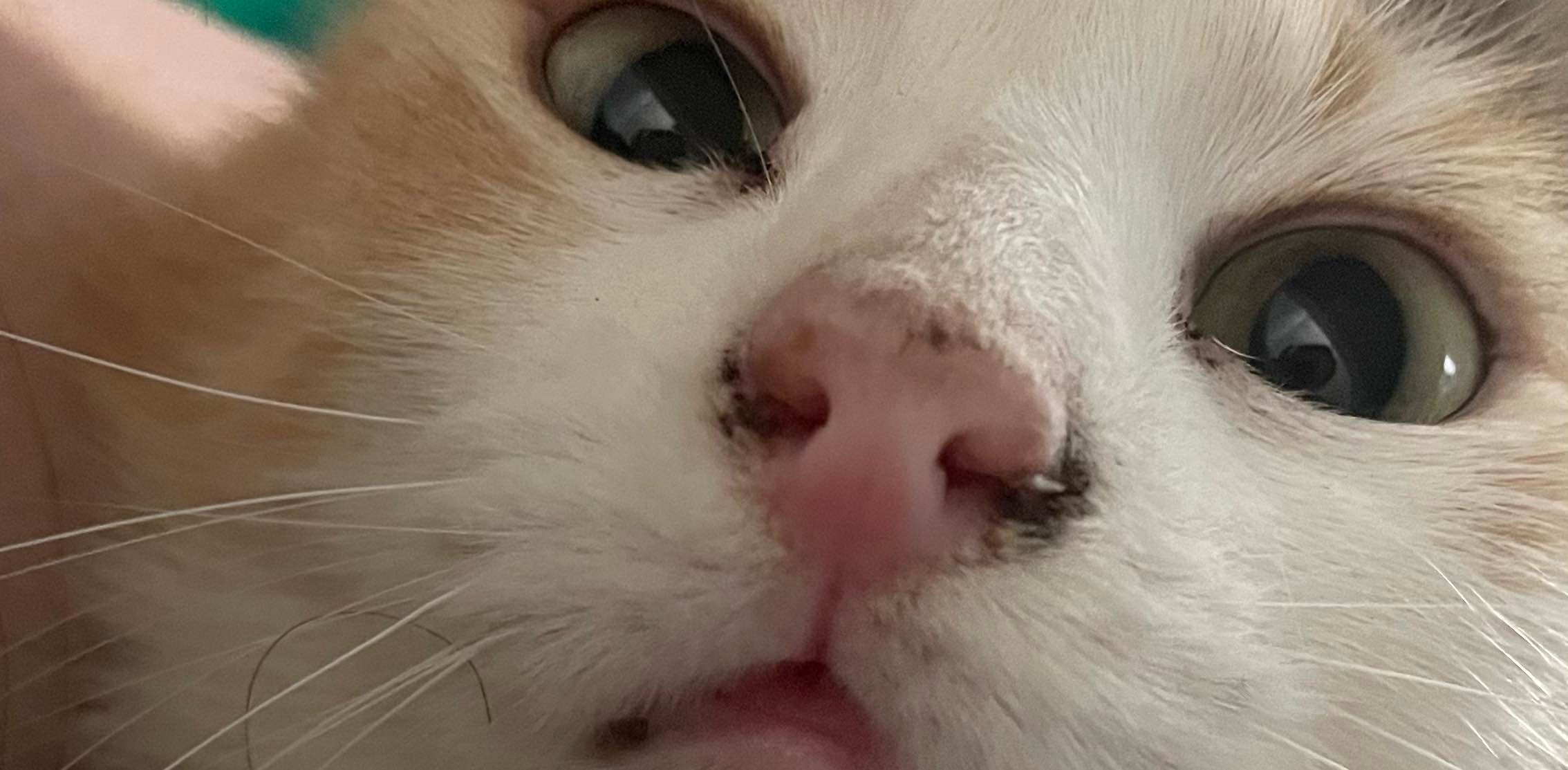 challenge background