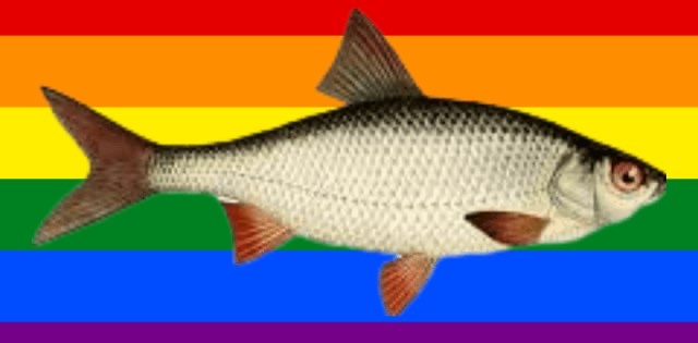 challenge background