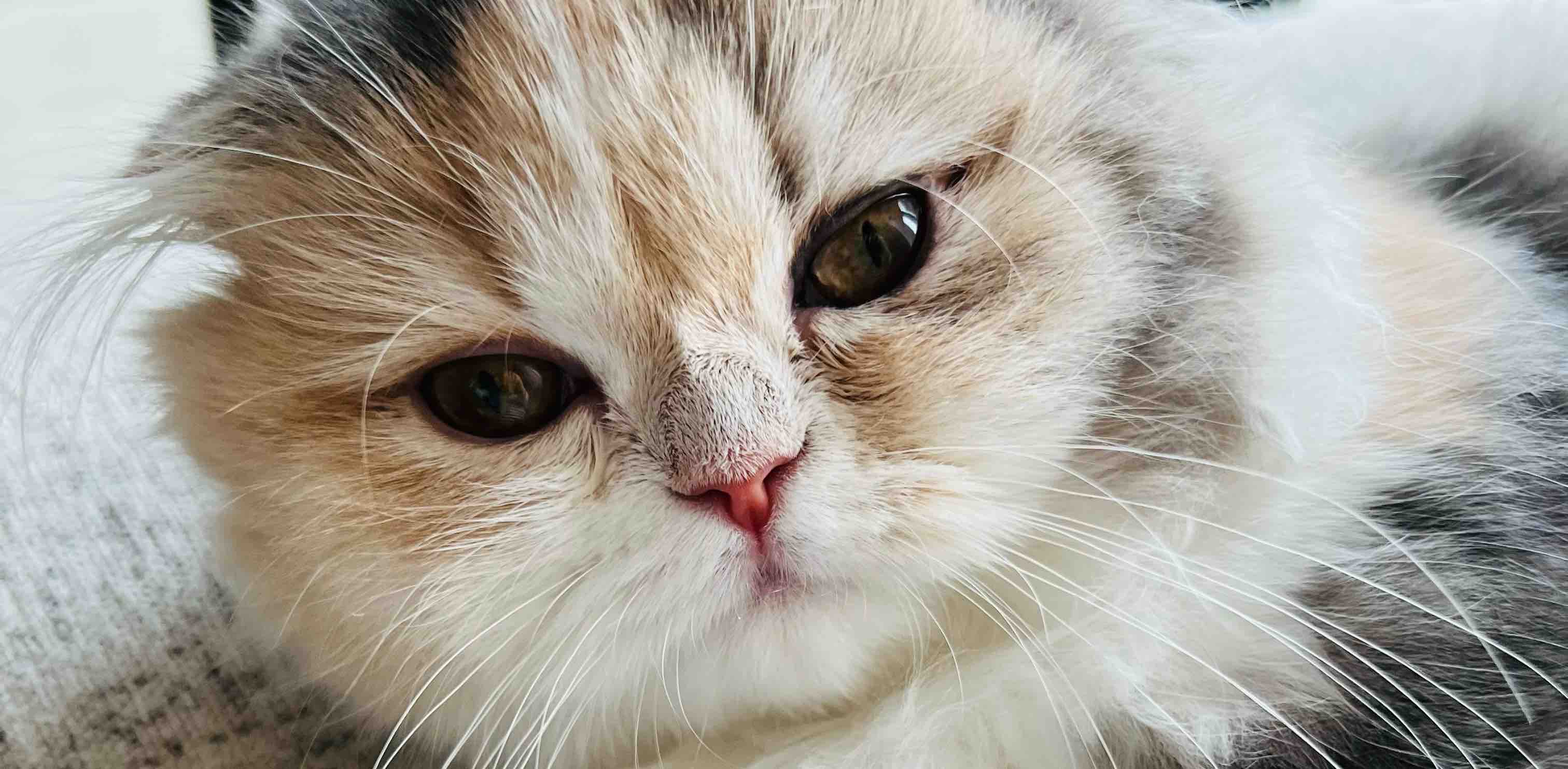 challenge background