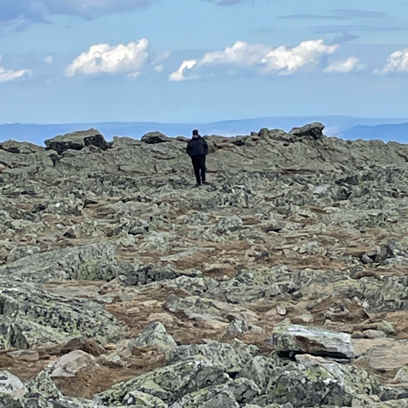 Уральские барсики logo