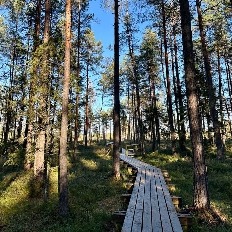 The AID to Sore Feet logo