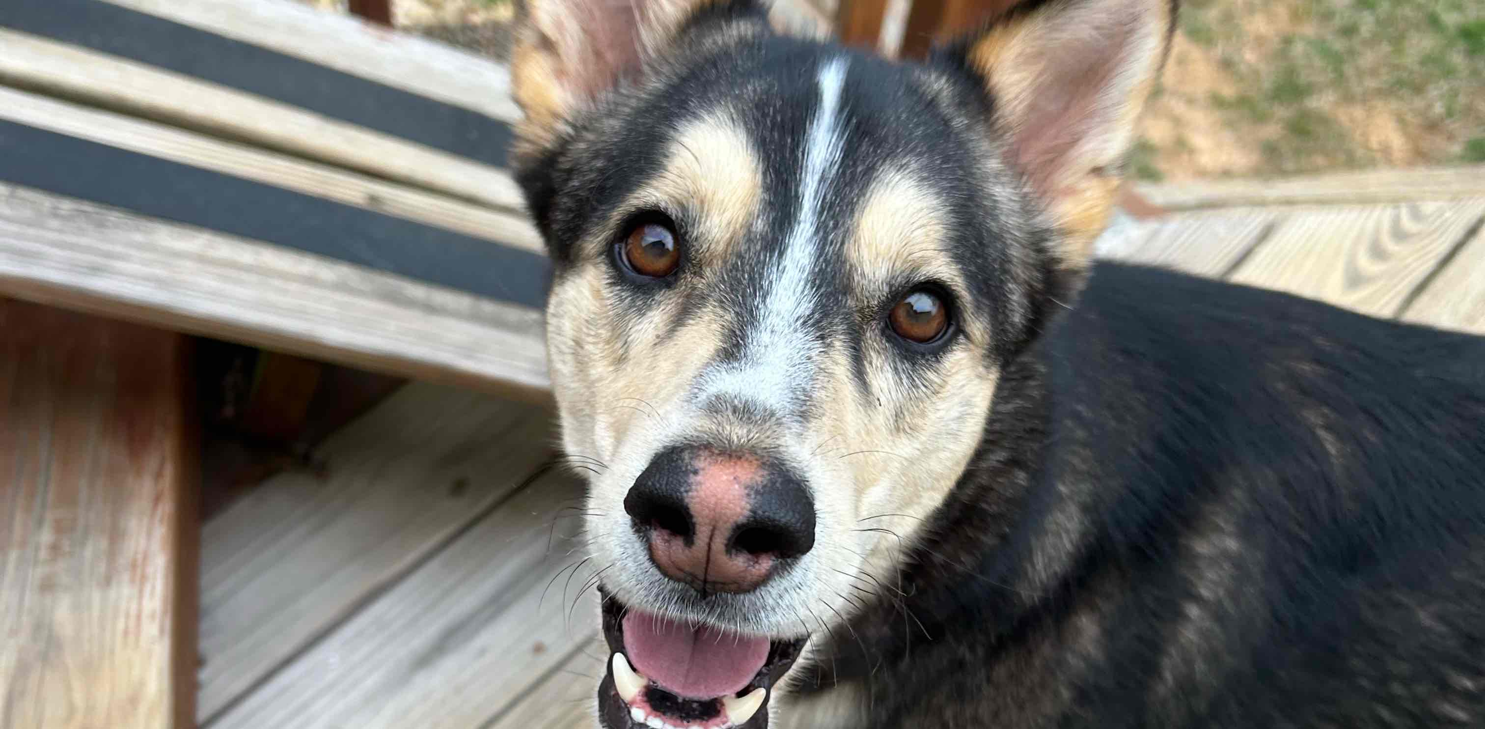 challenge background