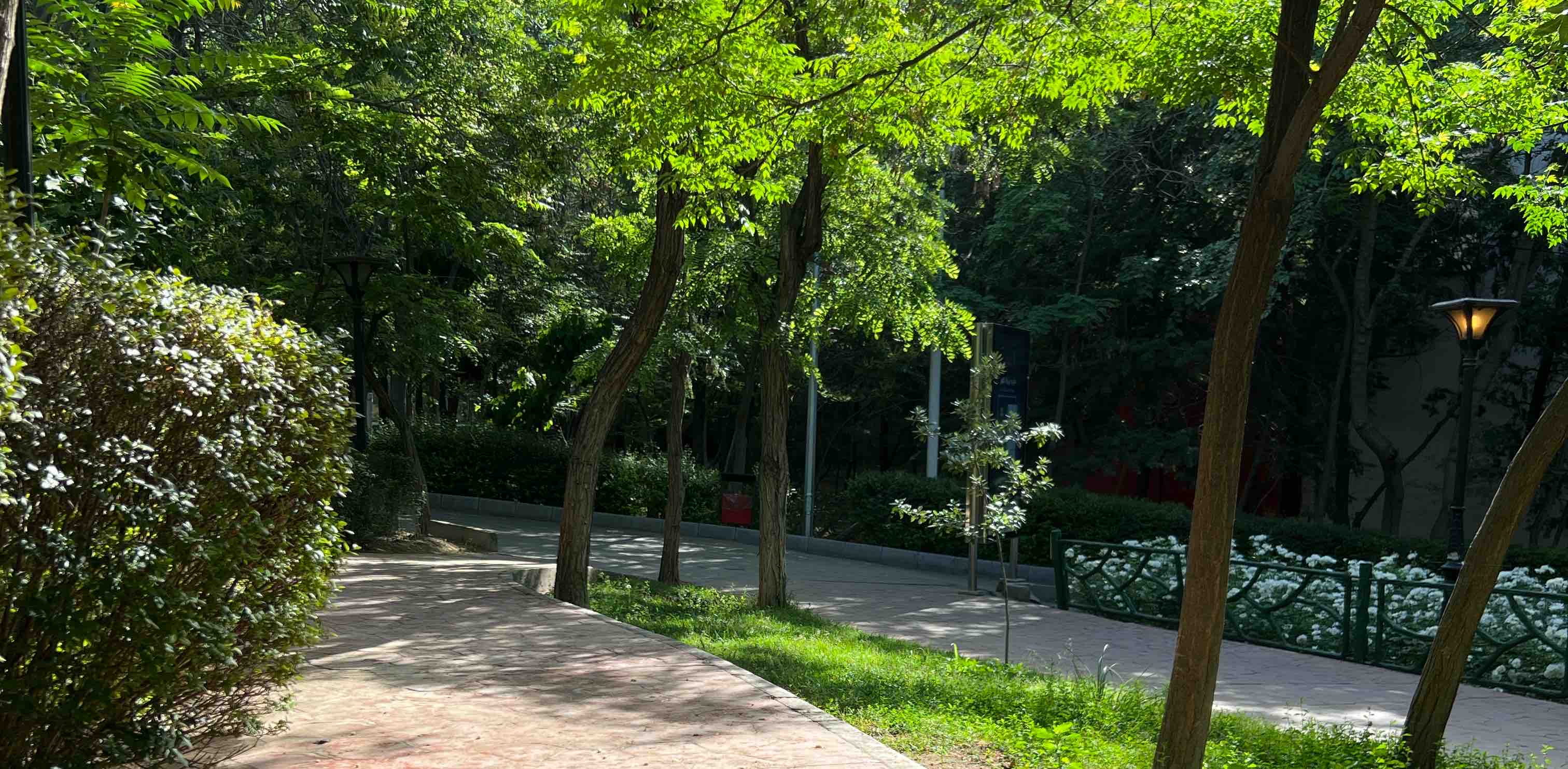 challenge background