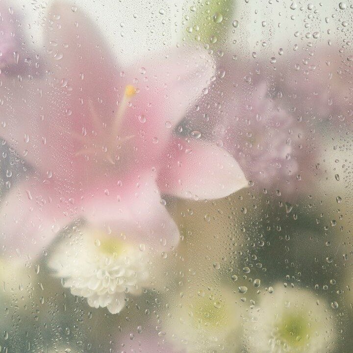 an effortless journey logo