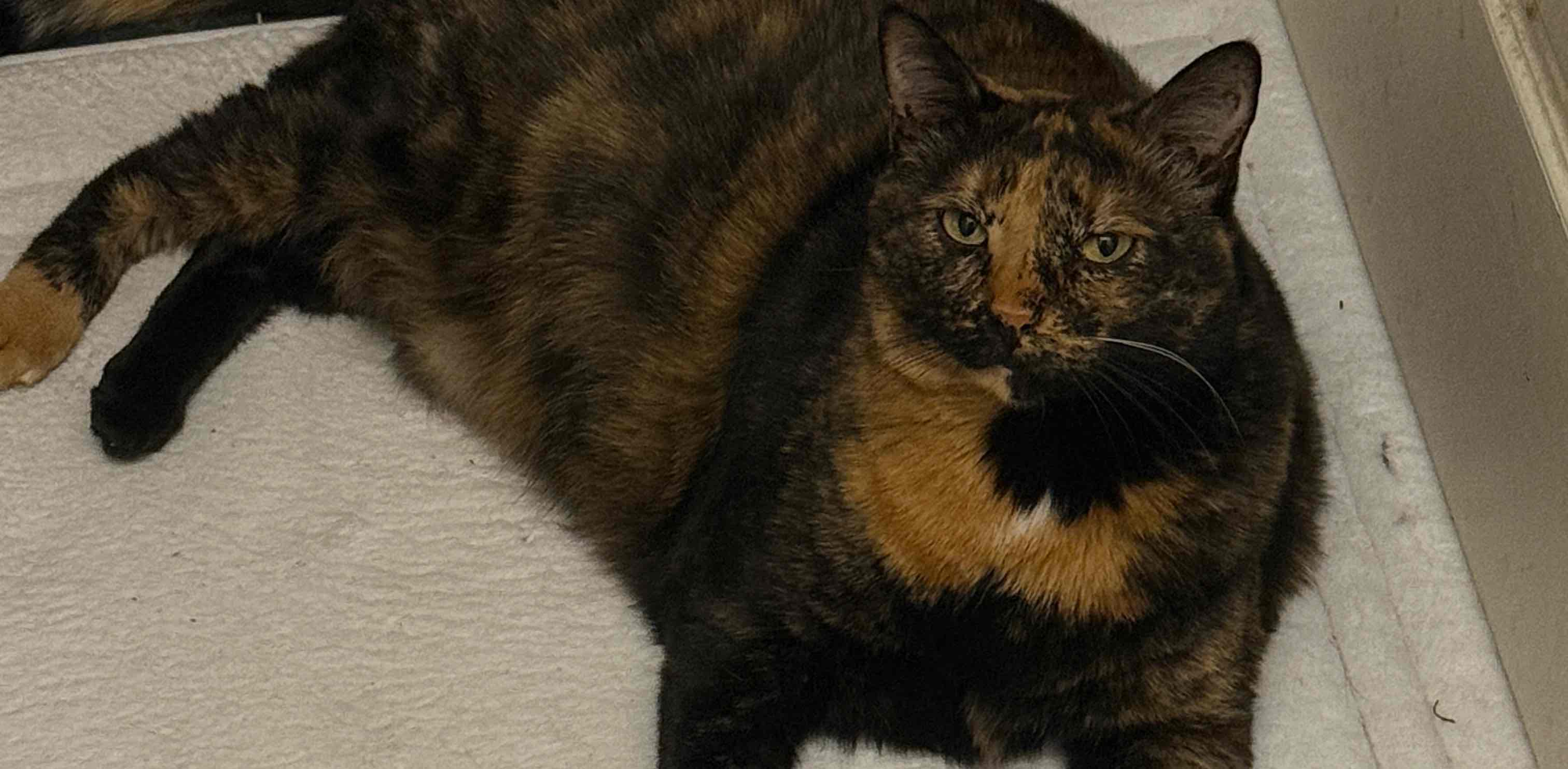 challenge background