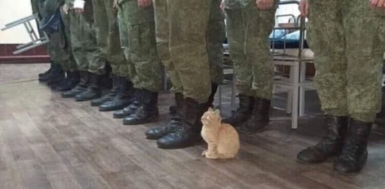 challenge background