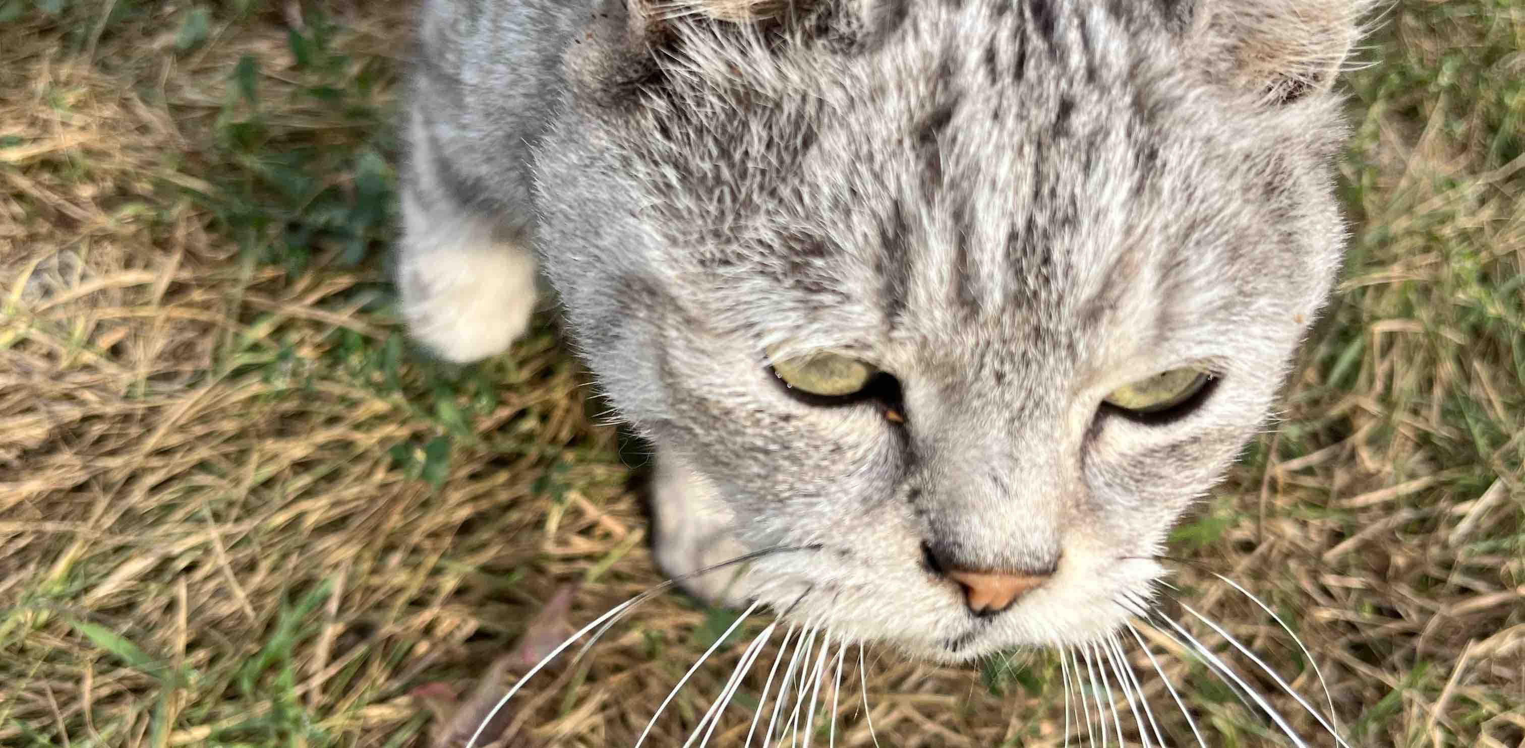 challenge background