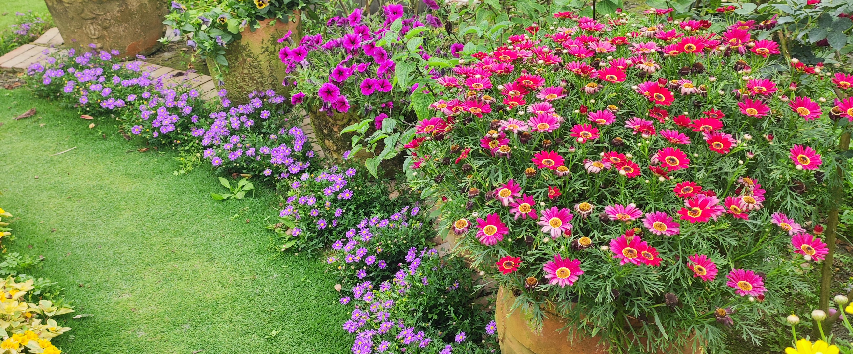 challenge background