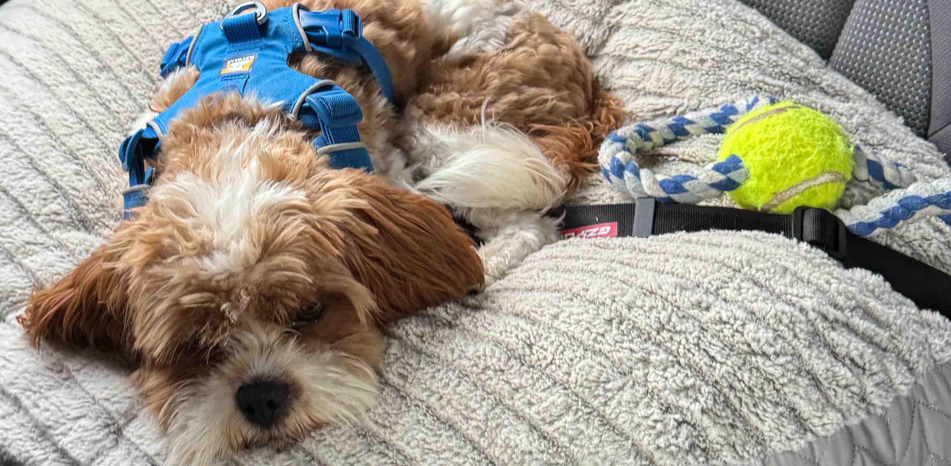 challenge background