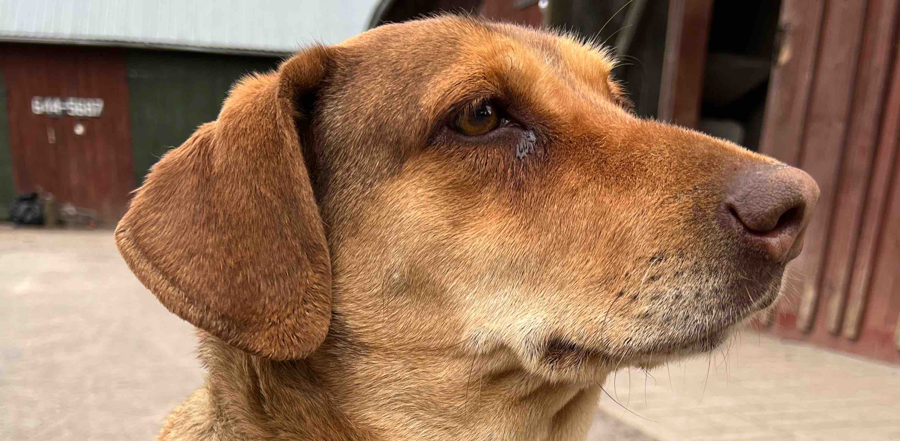 challenge background