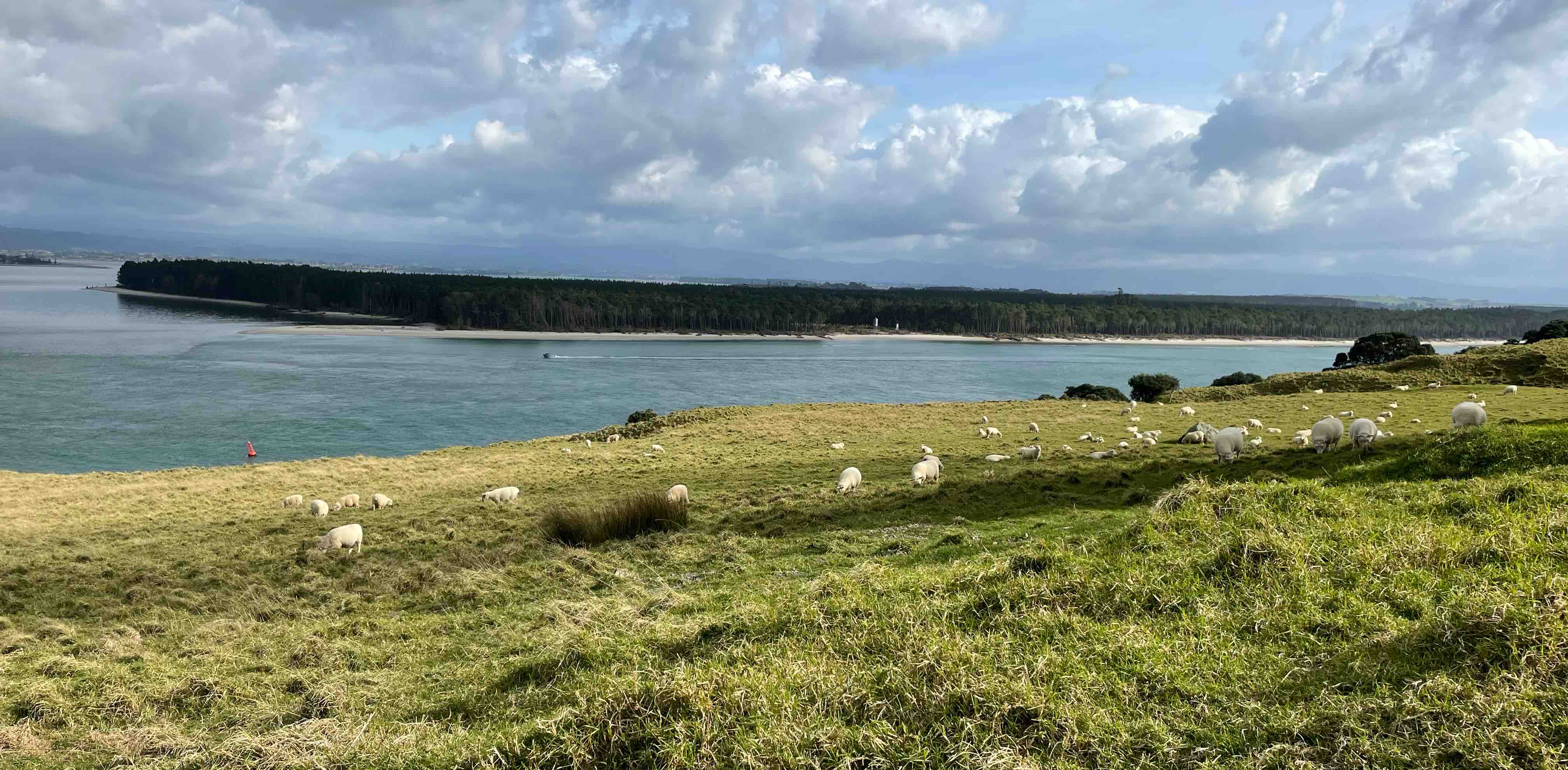 challenge background