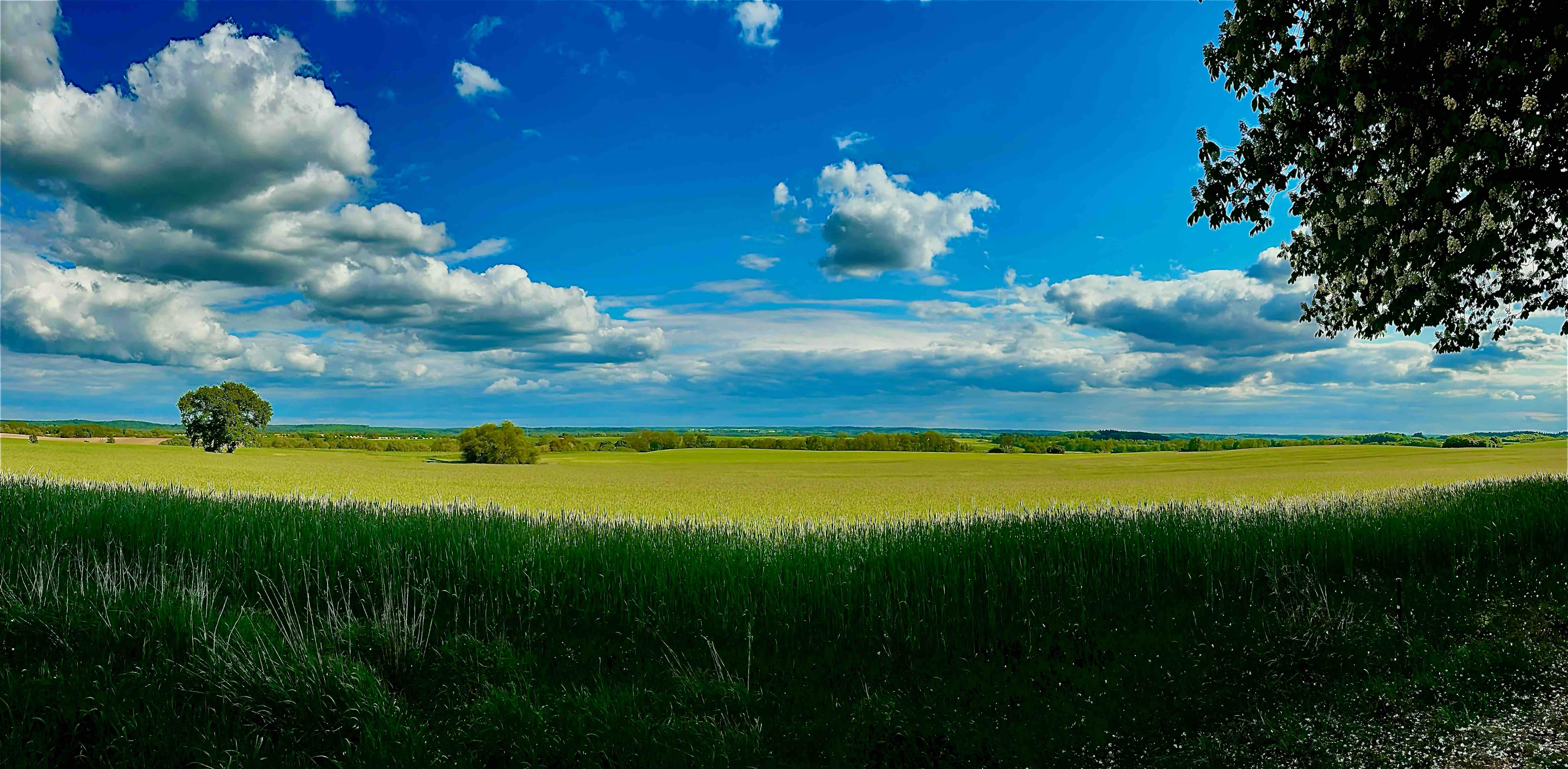 challenge background