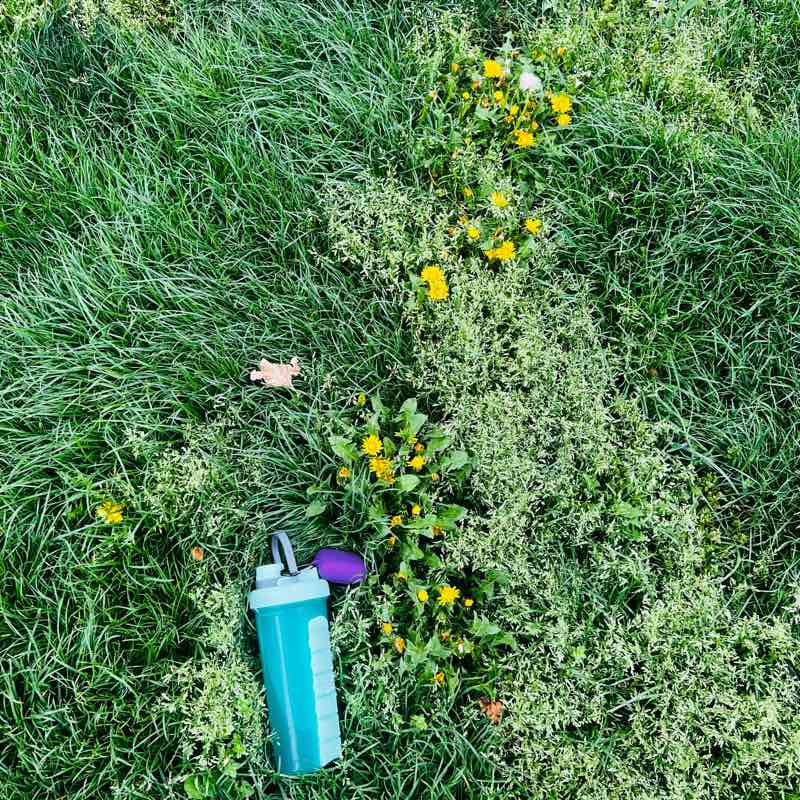 Friendship walk logo