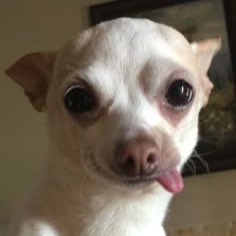 เดินกันเถอะ logo