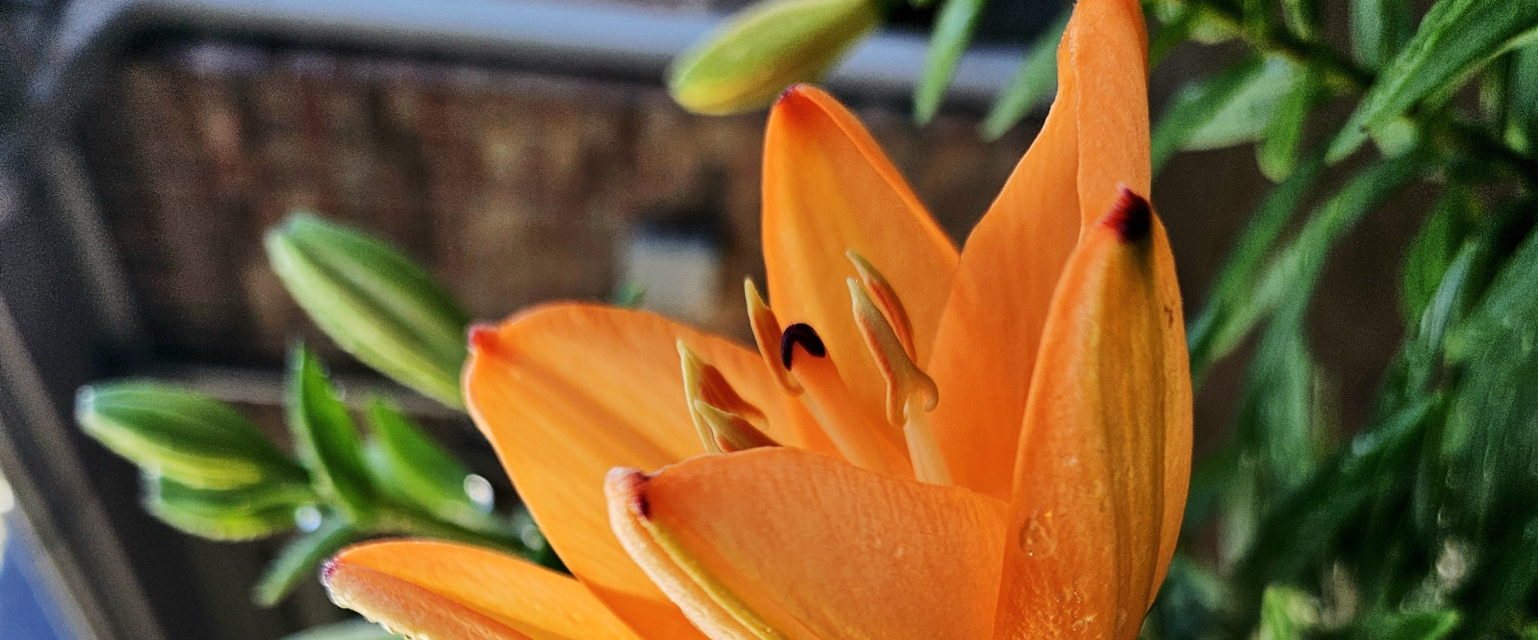 challenge background