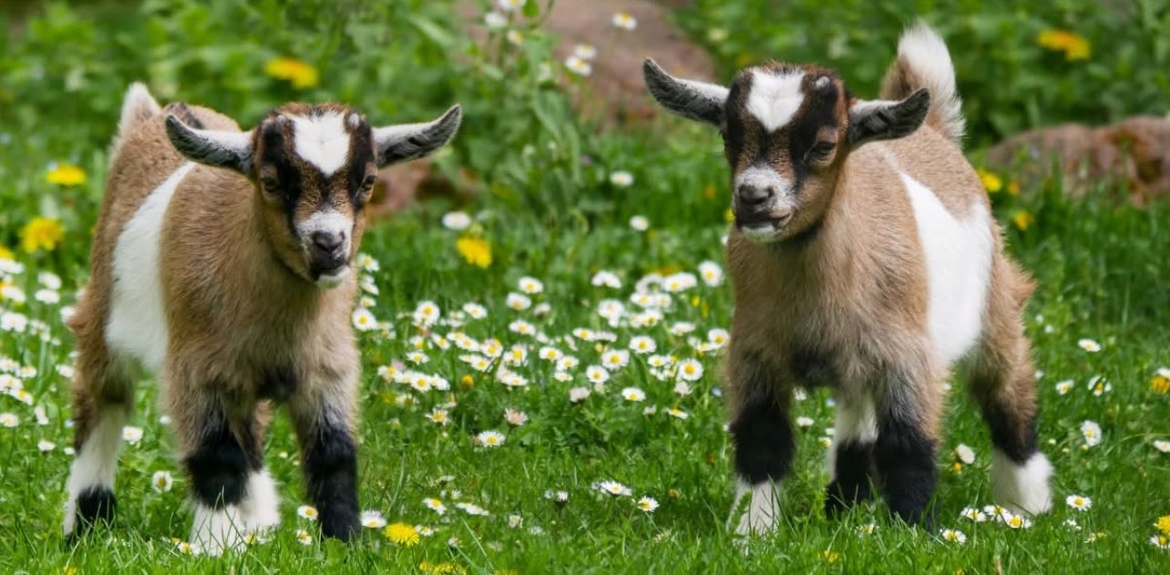 challenge background