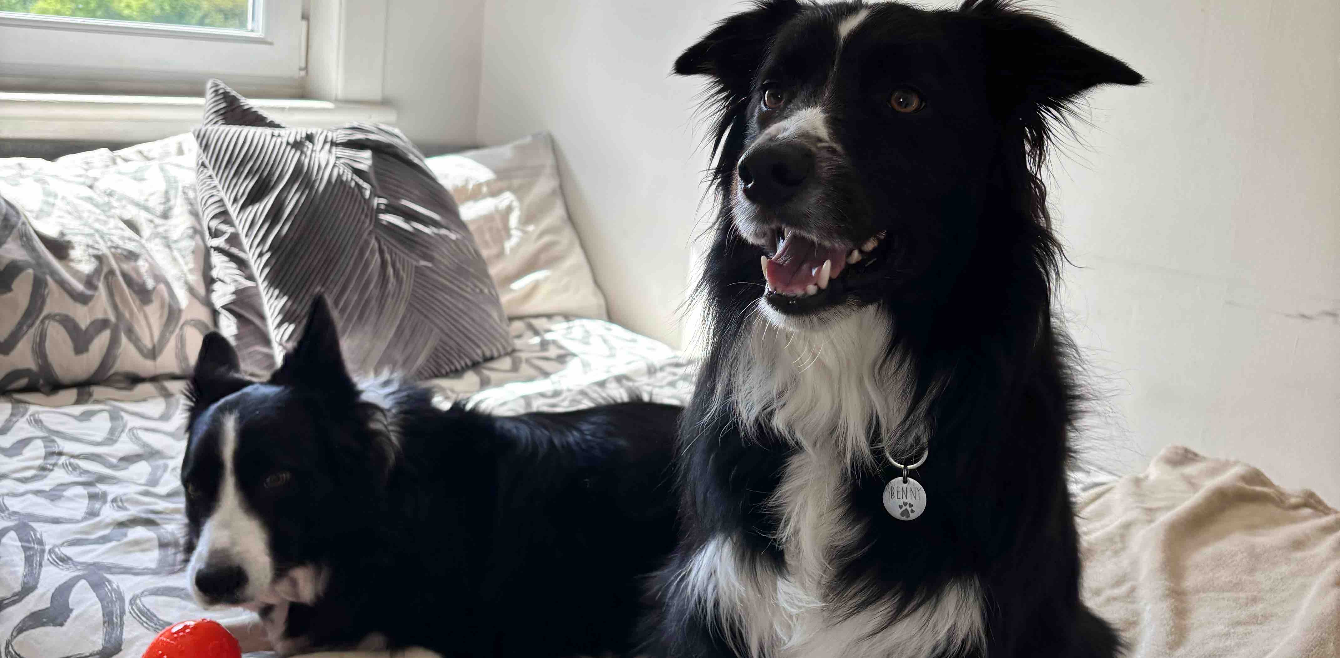 challenge background