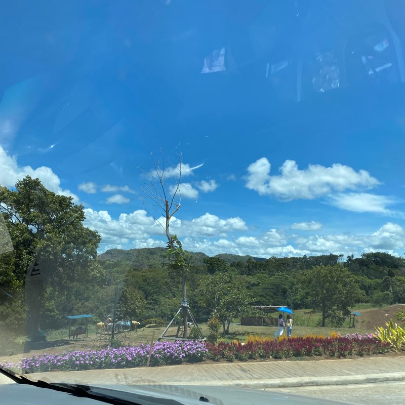 Lose Weight Club logo