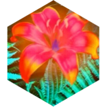 ✨Когда зацветет папоротник ✨ icon