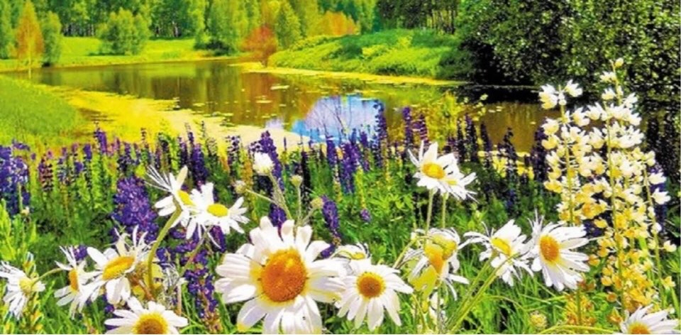 🌎🍀Let's save nature together 🍀🌎 logo