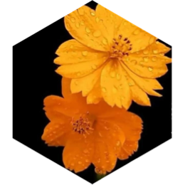 Group 15000 mi Challenge icon